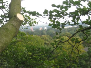 Einkürzung und Entlastung
